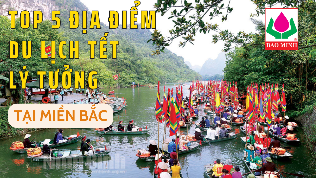 vang-den-va-trang-hong-minh-hoa-giao-duc-hinh-thu-nho-youtube